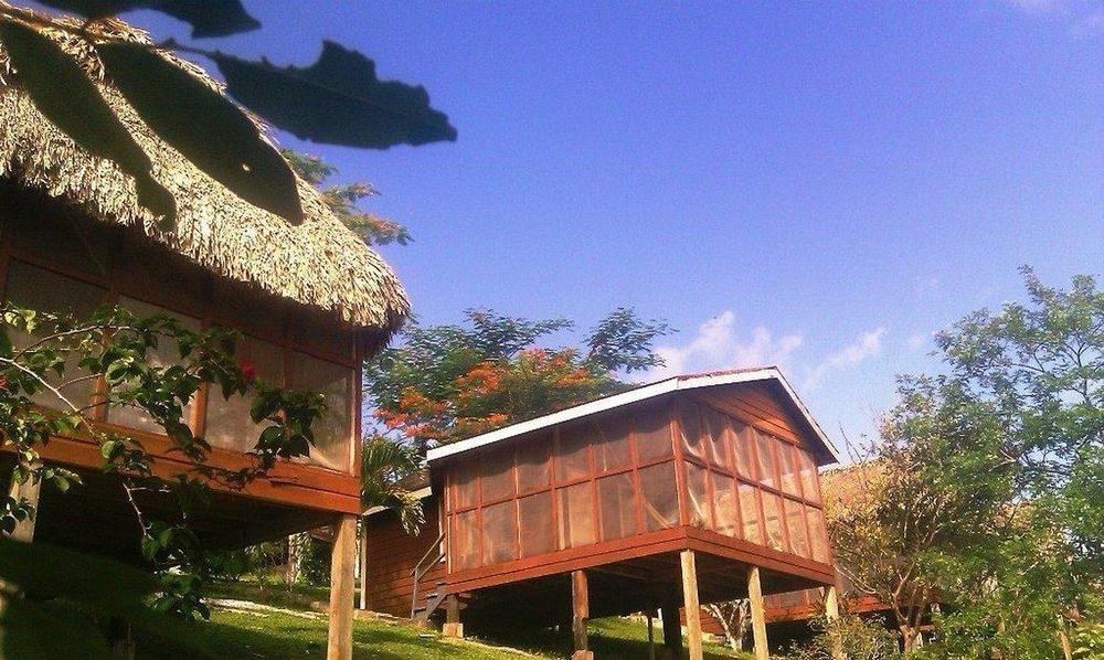 Cahal Pech Village Resort San Ignacio Ausstattung foto